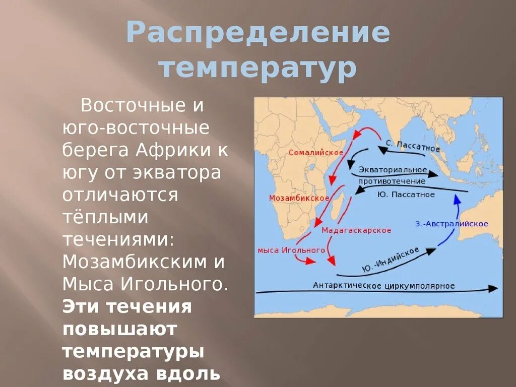 Мозамбийское тёплое течение. Мозамбикское теплое течение. Теплое течение мыса игольного. Индийский океан мозамбикское течение. Течения восточных ветров