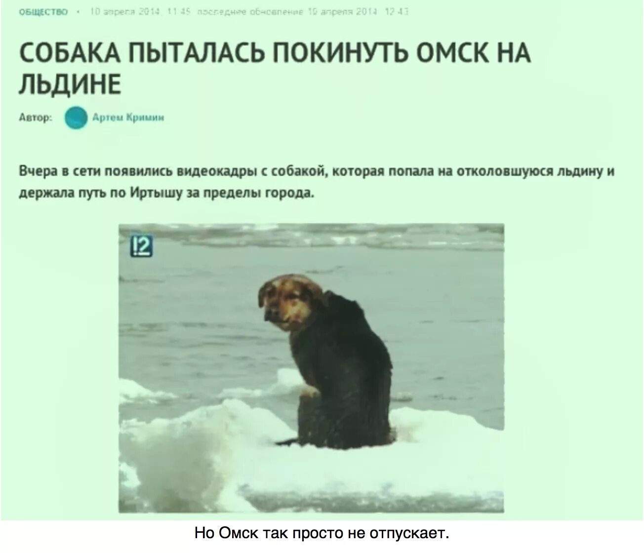 Кто не сеет тот и не жнет. Не попытка а попытка. Собака пыталась покинуть омск. Попытка не пытка пословица. Попытка не пытка попытка.