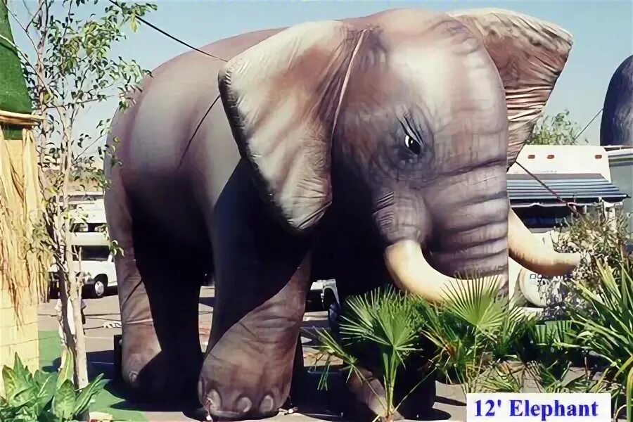 Слоник без рекламы. Слон в рекламе. Надувной Слоник для детей мальчиков. Elephant ads.