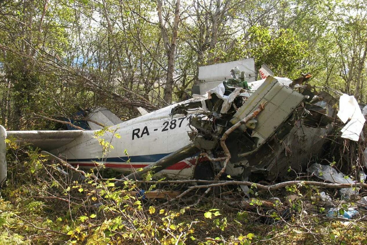 Какой самолет упал сегодня. АН-28 Палана катастрофа. Крушение самолета АН 26 на Камчатке. АН-28 катастрофа катастрофа под Паланой. АН 28 Камчатское авиационное предприятие.