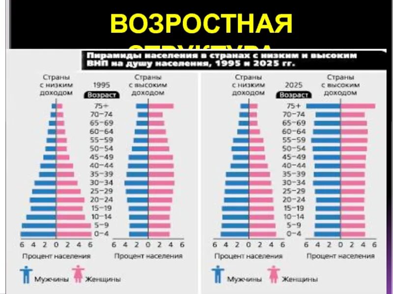 Структура населения мегаполиса. Состав и структура населения. структура населения украины. население болгарии по годам. структура населения сенегала.