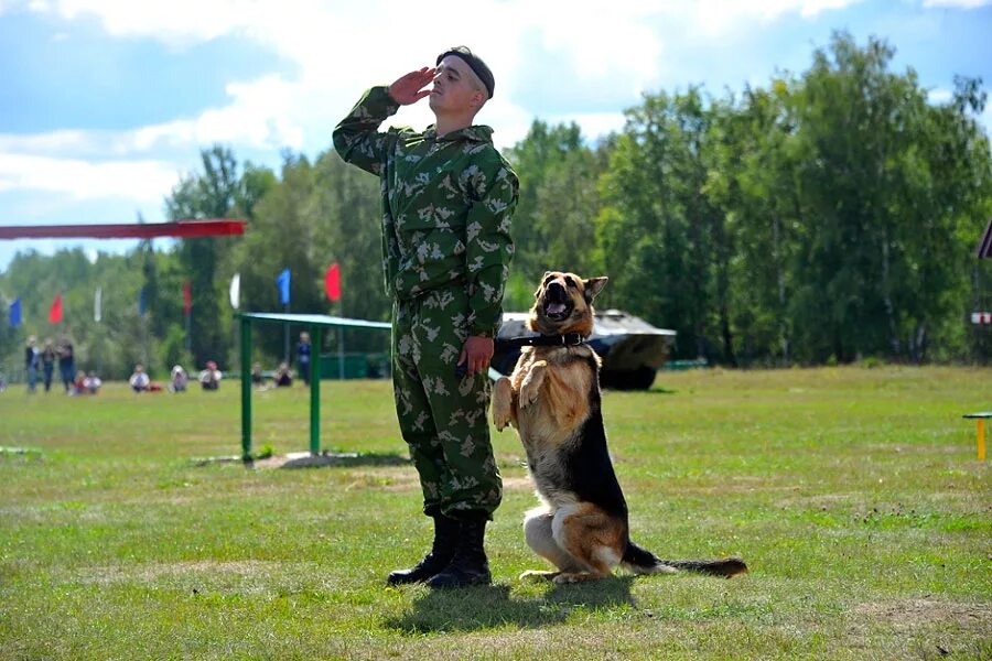 Кинолог высшее. Вожатый служебных собак погранвойск. Караульные собаки. Военный кинолог. Пограничные служебные собаки.