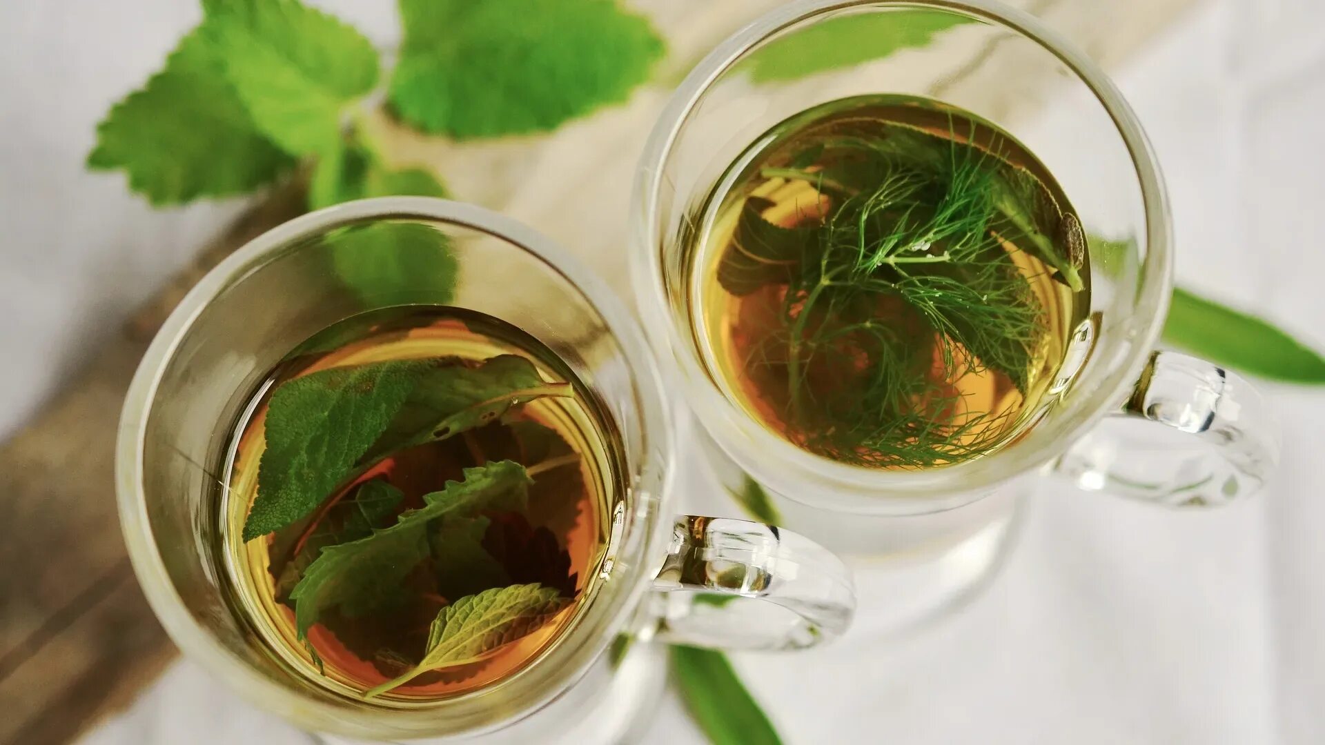 Можно ли добавлять мяту в чай. Herbal tea мята. мята перечная отвар. мята перечная фитотерапия. чай с мятой.