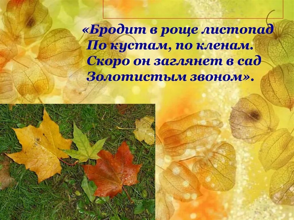 Бабье лето конспект урока. Кедрин бабье лето 4. Д Б Кедрин бабье лето 4 класс.