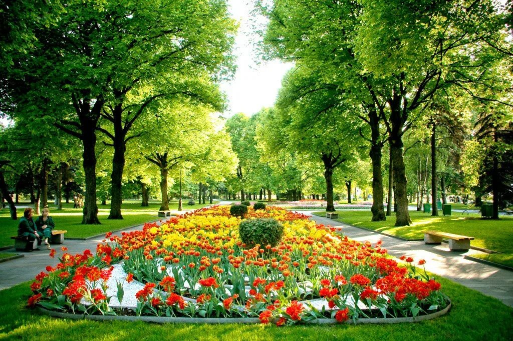 Зеленые насаждения в городе. Паблик гарден бостон. Боровский парк москва. Благоустройство парков. Беркенхед городской парк.