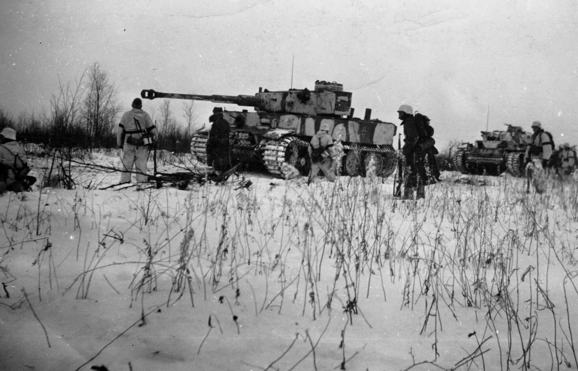 Операция военные танки. Тигр под Ленинградом 1941. Танк тигр Мга 1942. Танк тигр Ленинградский фронт. Танк тигр 1943 год.