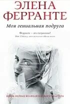 Моя гениальная подруга fb2