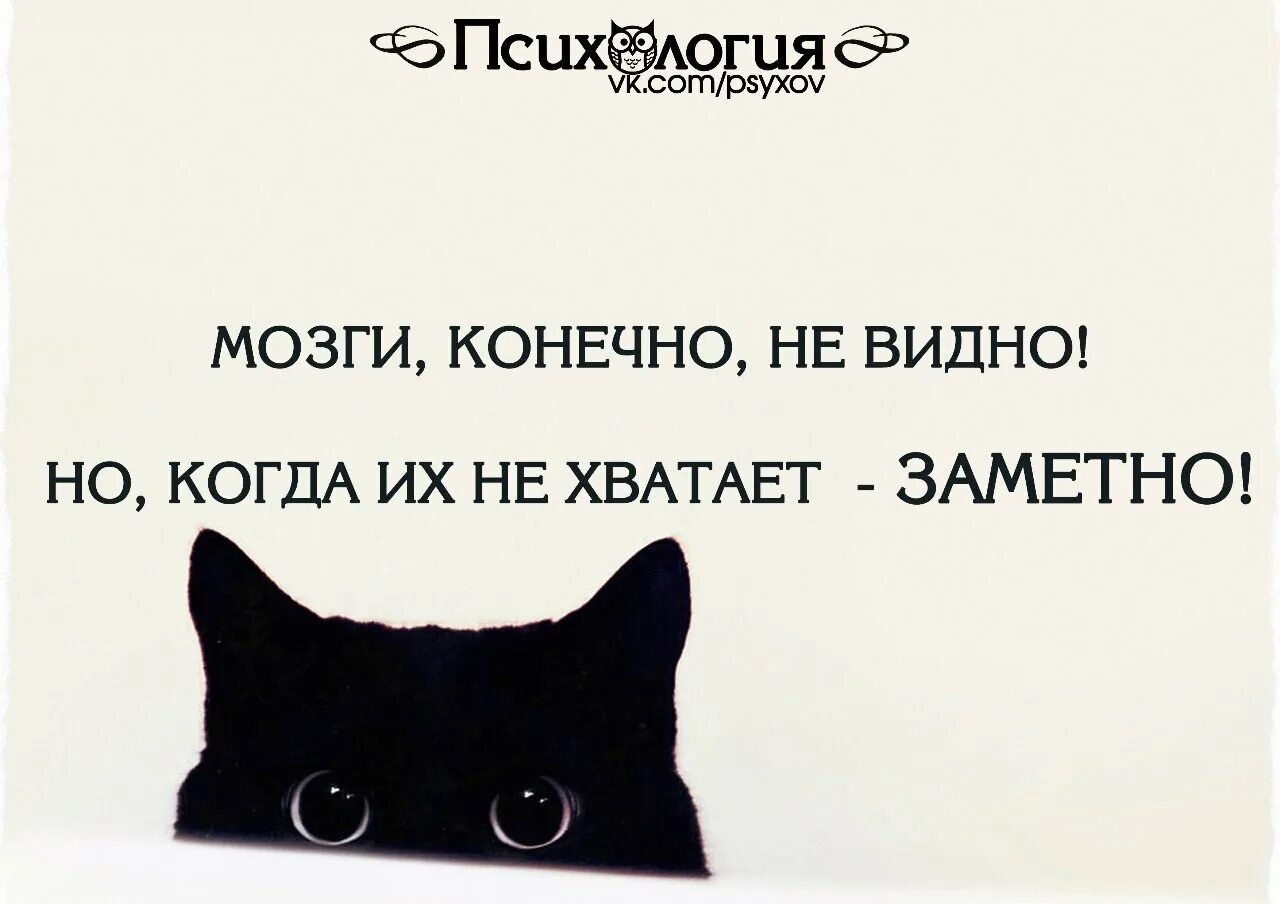 К несчастью она в сей бодрой. Одним из главных признаков счастья. Одним из главных признаков счастья и гармонии. Есть такая эмоция улыбка разочарования цитата. Есть такая улыбка улыбка разочарования.