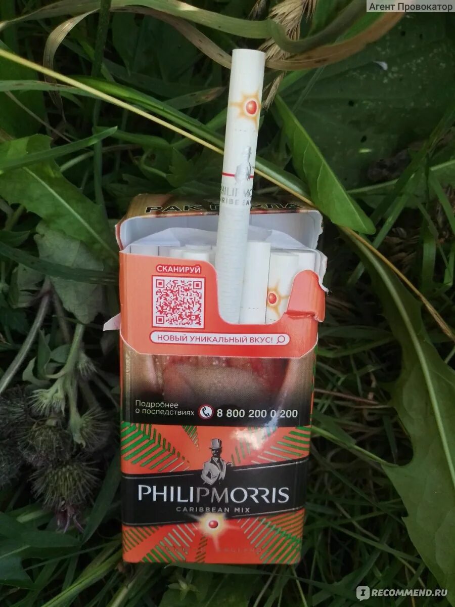 Сигареты филип моррис вкусы. Сигареты Филип Морис - Caribbean Mix. Сигареты Филип Моррис с кнопкой вкусы. Филлип Моррис с кнопкой вкусы. Филип Морис с кнопкой вкусы.
