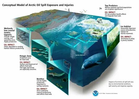 Environment geography