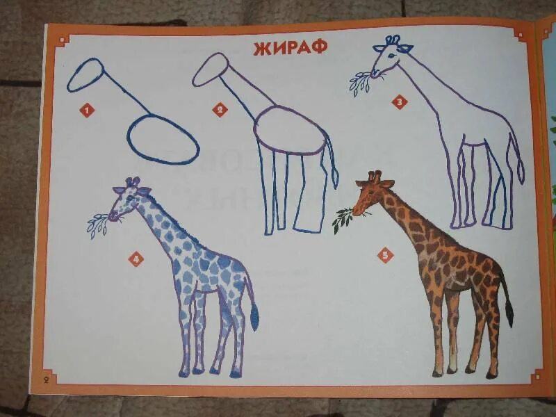 Занятие старшая группа зоопарк. Рисование жирафа в подготовительной группе. Рисование Жираф старшая группа. Рисование Жирафы в подготовительной группе. Рисование жирафа в старшей группе.