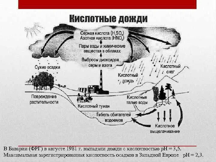 Acid rain перевод 7 класс. Схема выпадение кислотного дождя. Схема образования кислотных дождей. Схема возникновения кислотных дождей. Схема образования кислотных осадков.