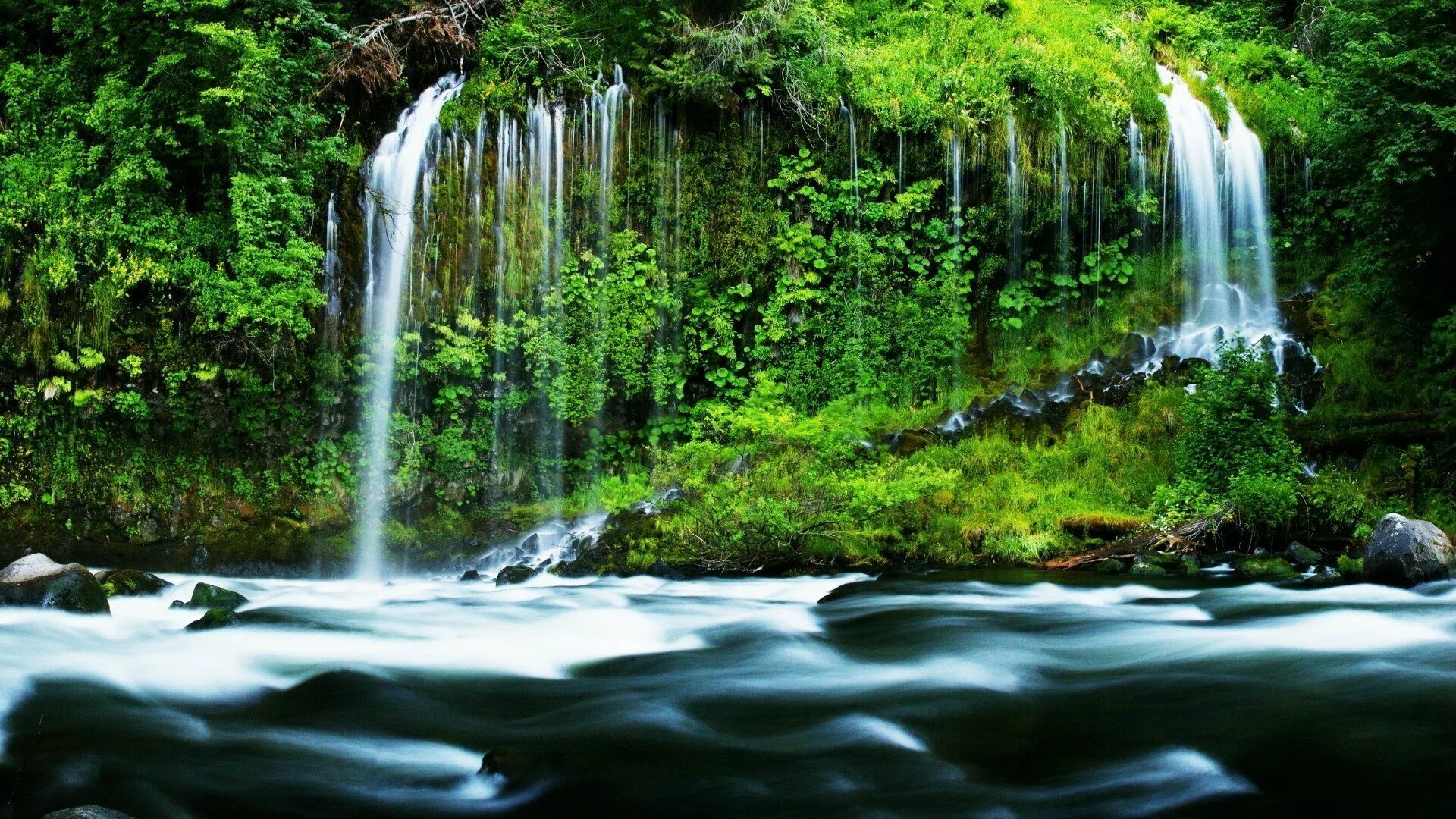 Установить картинку. Водопад Мосбрей, США. Водопад Мосбрей США фото. Живая природа водопады. Живые обои на телефон природа.