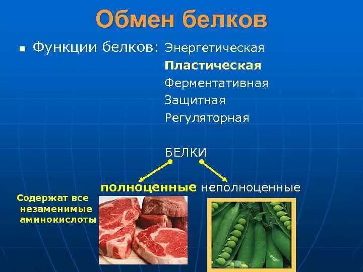 Функции белков таблица 9