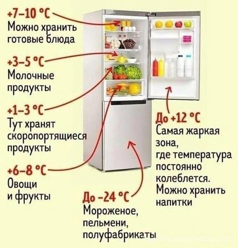 Сколько нужно держать холод. Какая должна быть температура в холодильнике и морозильной камере. Температурный режим холодильника для хранения продуктов. Какая температура должна быть в холодильнике и морозилке. Нормальная температура для холодильника и морозильника.