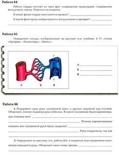 Тпо по биологии 8