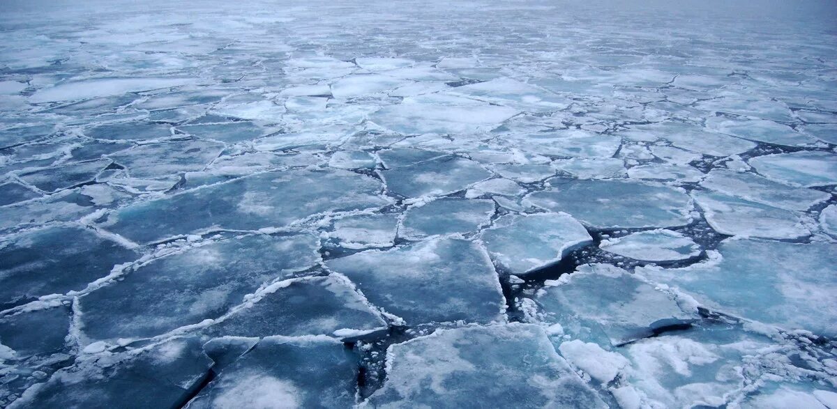 Вода выступила на поверхность льда. Лед на реке. Лед на речке. Река покрытая льдом. Лед на реке для детей.