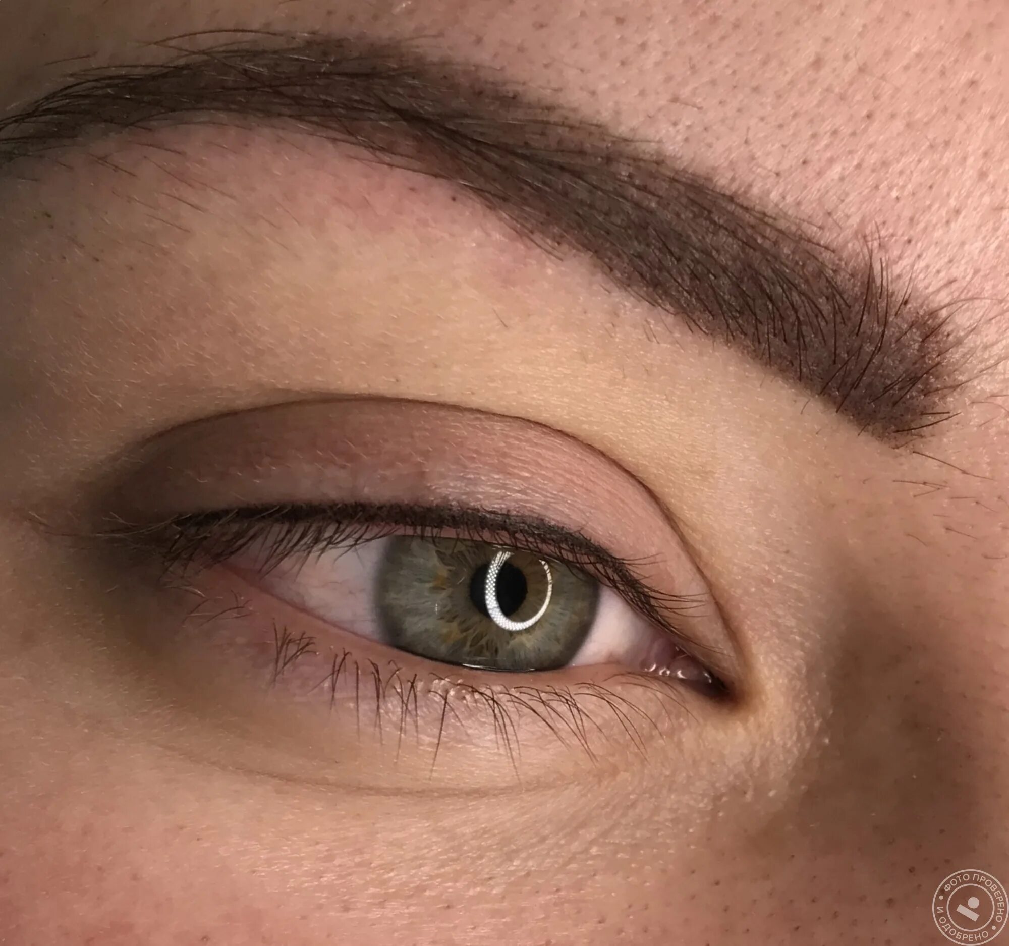 Татуаж глаз. Перманентный макияж глаз. Перментальный макияж стрелки на глазах. Перманентный макияж бровей и стрелок. Перманентный татуаж.