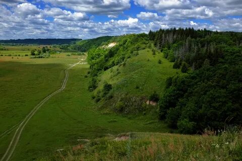 Местность какая 1 класс