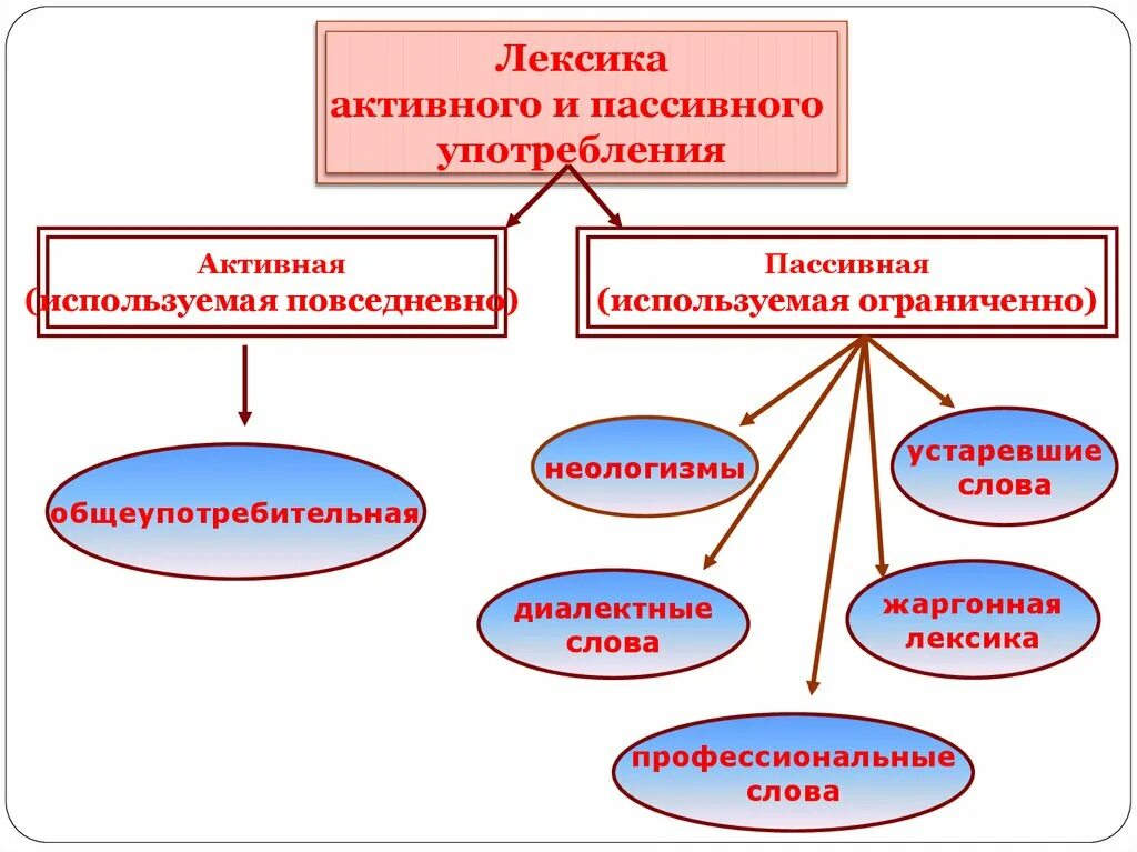 Лексика ивана. Лексика. Общеупотребительная лексика. Лексика 10 класс русский язык. Лексика активного и пассивного употребления.