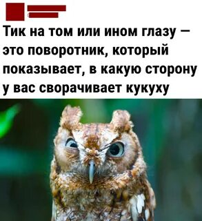 Юморные картинки с добрым утром надписью