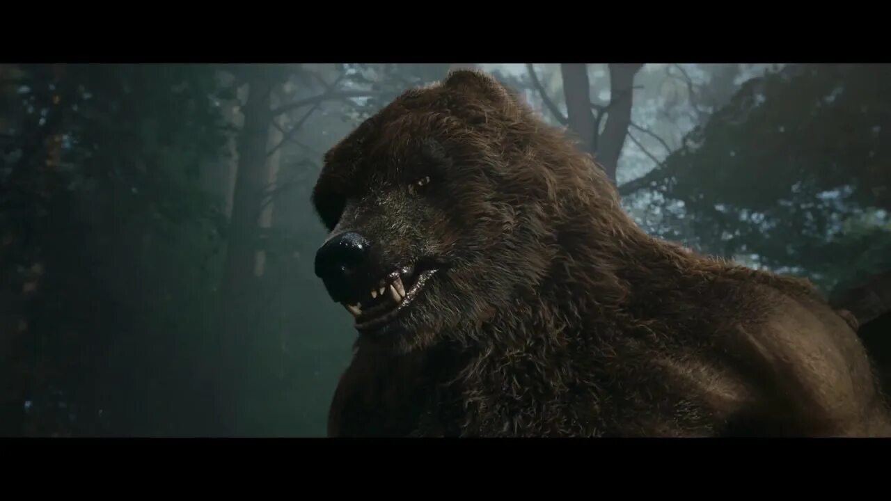 Рассказ о медведе на английском языке. Bears на русский язык. Текст про медведя на английском. Рассказ по английскому языку про медведя. Bears на русский язык.