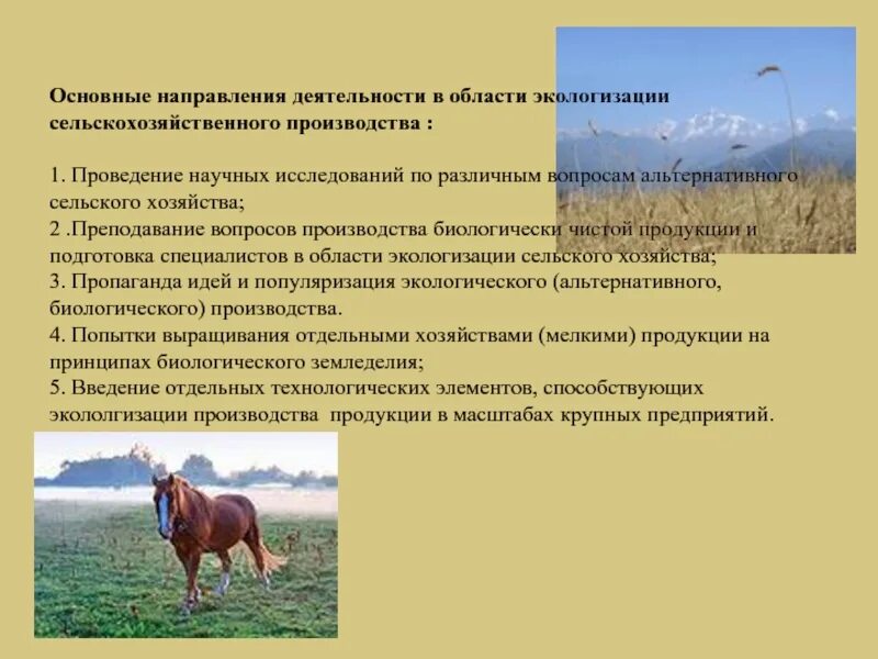 Основные направления экологизации сельского хозяйства.. Экологизация сельскохозяйственного производства. Направление развития сельскохозяйственного производства. Природоохранной деятельности в сельском хозяйстве. Проблемы производства сельскохозяйственной