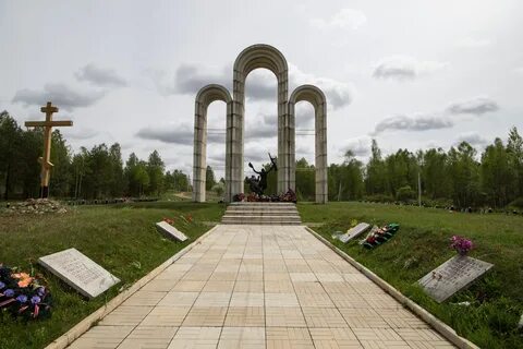 Барсуки калужская