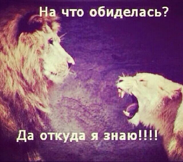 Встрече одноклассников быть. Ну пожалуйста картинки. Ты обиделась картинки. Хотя откуда мне знать. А почему не 5.
