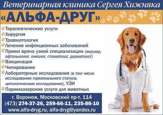 Альфа друг воронеж. Альфа друг воронеж. Альфа друг воронеж. Альфа друг воронеж. Альфа друг воронеж.