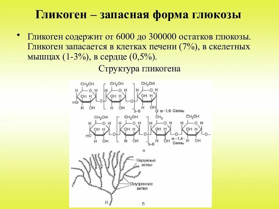 Запасной углевод в клетках печени. Гликоген состав и строение. Структура форма гликогена. Общая формула гликогена. Гликоген. Строение макромолекул..