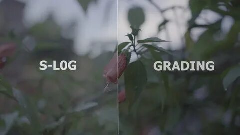 S log