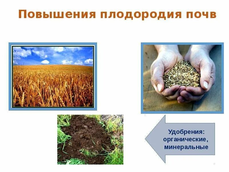 Повышение плодородия почвы. Повышение плодородности почвы. Что повышает плодородие почвы. Органические удобрения для почвы. Сохранения почв мероприятия