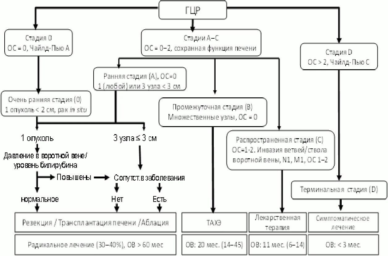 Рак печени стадии прогноз. Барселонская классификация ГЦР. Барселонская классификация гепатоцеллюлярного. Опухоли печени классификация. ГЦР классификация.