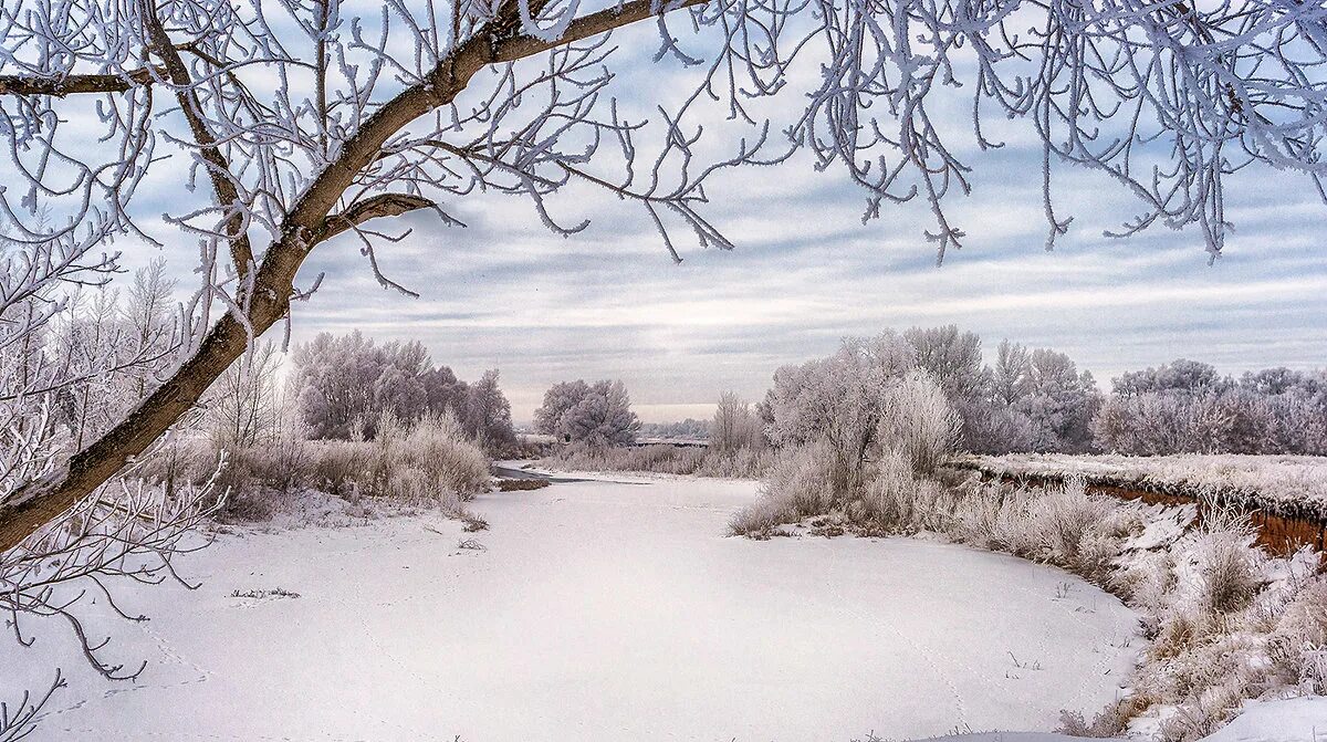 зимний рассвет. грамматические основы связанные союзом и. липа зимой. якутск зимой. продолжение предложения трещат деревья.