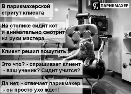 Парикмахер приколы