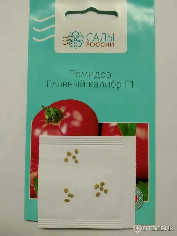 Сад томатов отзывы. Семена сады россии томаты. семена помидор фирмы сады россии. томаты фирмы сады россии каталог. семена томатов от сады россии на 2025 год.