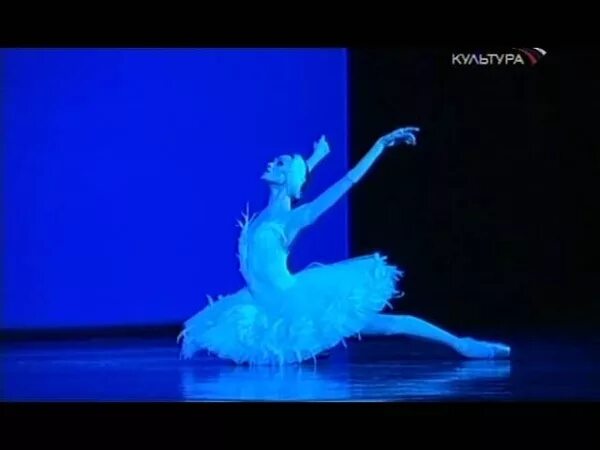Ульяна лопаткина лебедь. Умирающий лебедь лопаткина. Лебедь балерина лопаткина. Майя плисецкая балерина. Ульяна лопаткина лебедь.