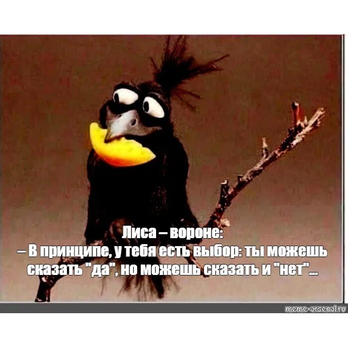 А что ты еще можешь сказать. Удивленный кот. «я вам пишу, чего же боле. А что ты еще можешь сказать. Думай о себе цитаты.