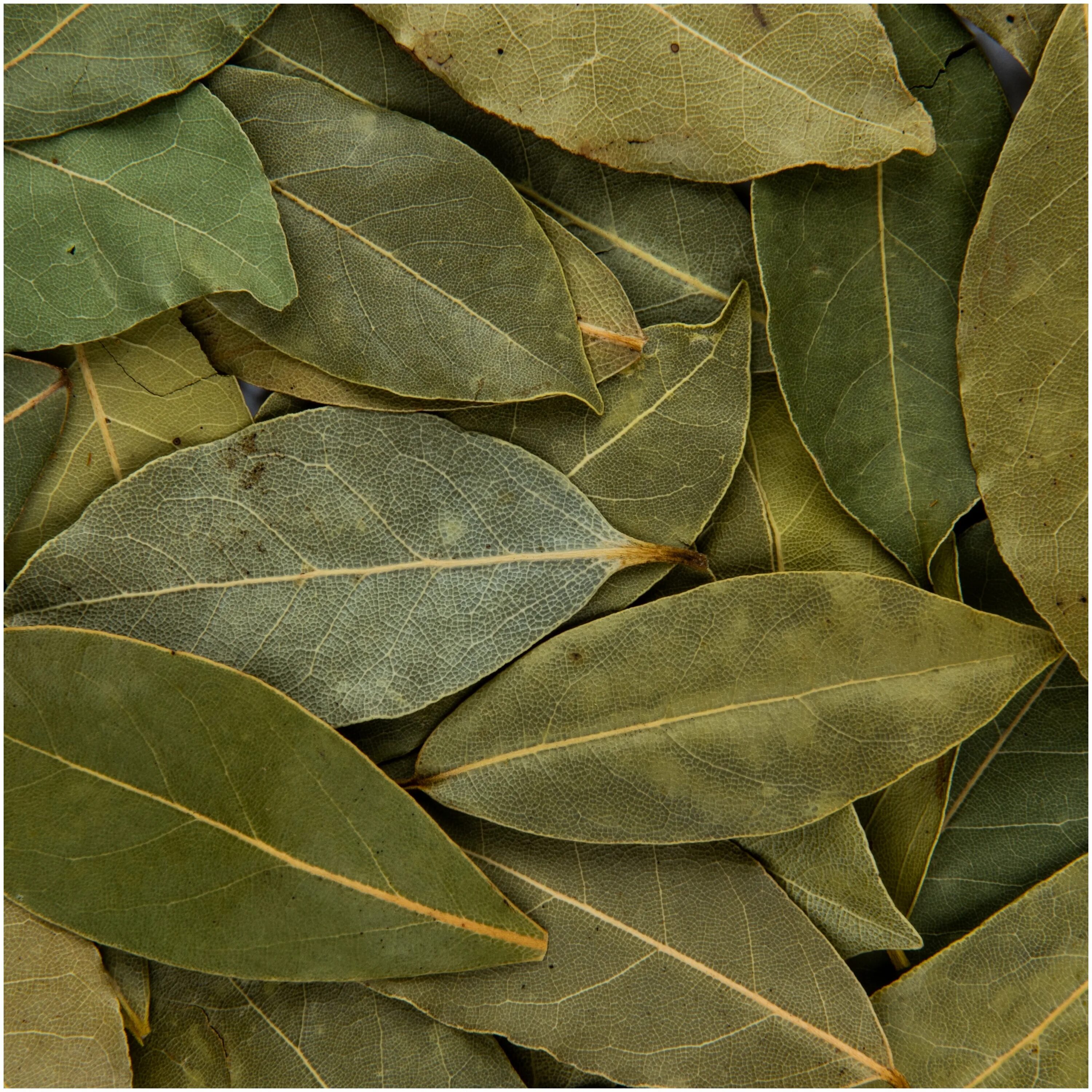 Лист лаврушки. Лавровый лист. Лавровый лист пряность. Лавровый лист специя. Лавровый лист сушеный.