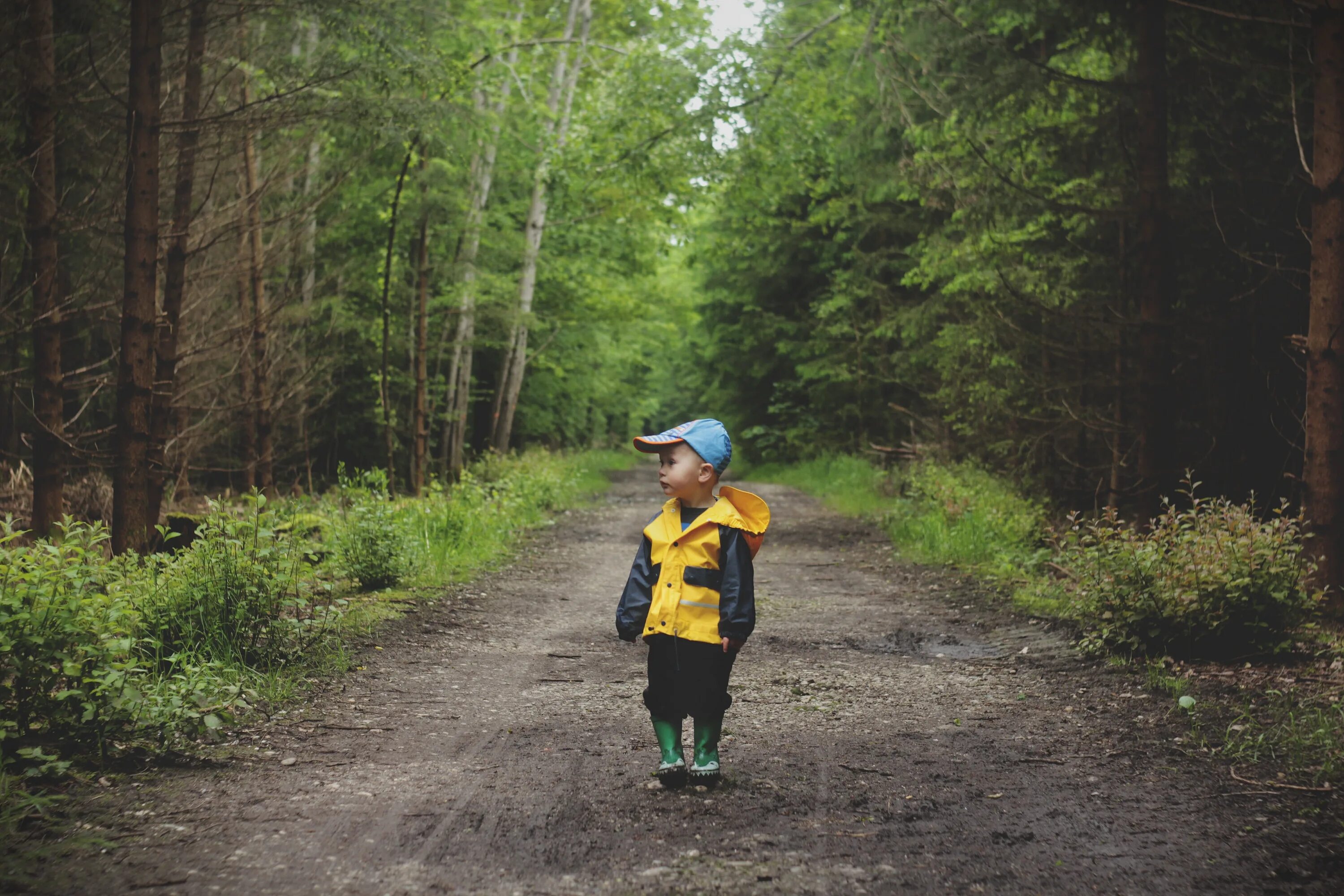 Слава жил возле леса и часто гулял. Мальчик в лесу. Мальчик заблудился в лесу. Потерялся в лесу. Ребенок потерялся в лесу.