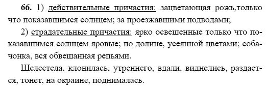 Васильки и рожь. Поле пшеницы. Сжатая рожь. Рожь цветет фото. Пшеница цветет.