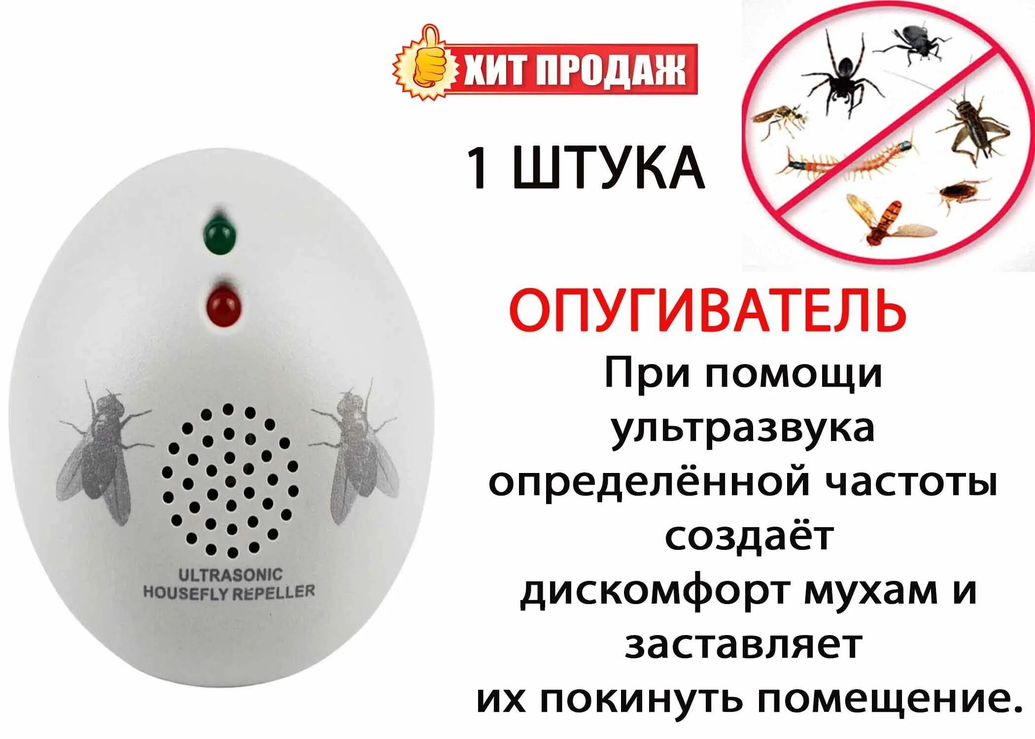 Запахи отпугивающие мышей на даче. Отпугиватель для мух. какие запахи отпугивают тараканов. какой запах отпугивает кошек.