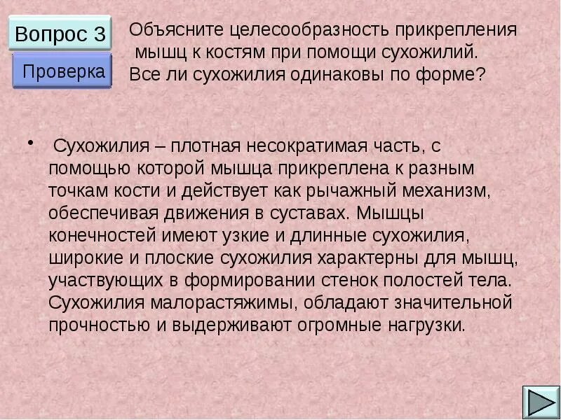 Прикрепляются к костям с помощью сухожилий. Прикрепляются к костям с помощью сухожилий