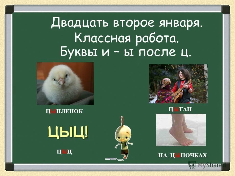 цыц цы. цыган на цыпочках цыпленку цыкнул цыц слова исключения. цыган цыпленку цыкнул цыц. правило цы ци в русском. цыпленок цыц.