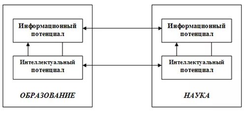 Функции интеллектуального потенциала. Интеллектуальный потенциал организации. Информационный потенциал общества. Интеллектуальный потенциал и его составляющие. Личностный потенциал.