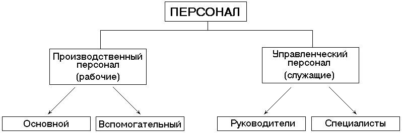 Основной персонал организации это