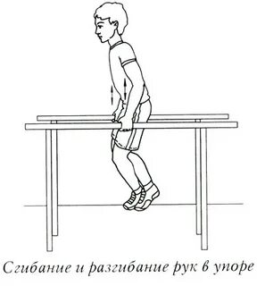 Упражнения в упоре на брусьях