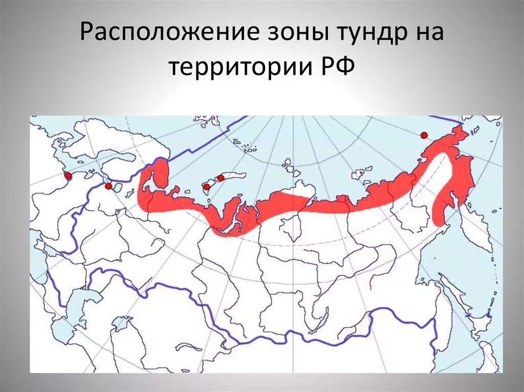 Зона тундры на карте. Где располагается тундра в России на карте. Тундра на территории России карта. Тундра на карте России с границами.