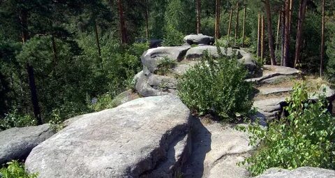 Шарташский лесопарк